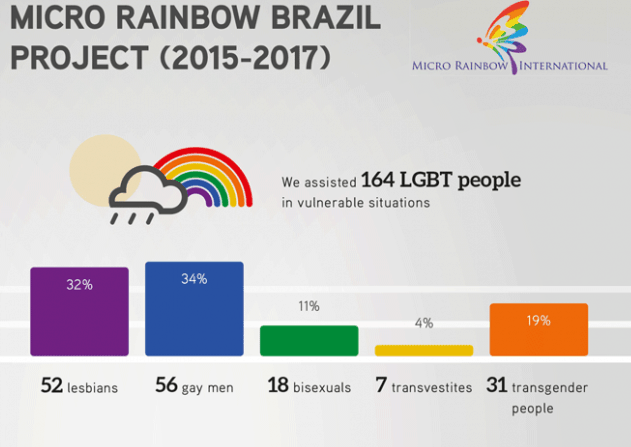 Infographic overview of the Brazil project from 2015 to 2017
